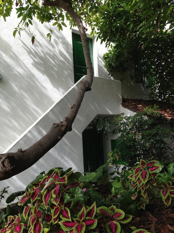 Apartments Finca El Rincon لا أوروتافا الغرفة الصورة